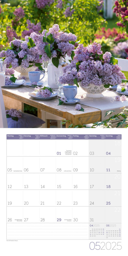 Bild: 9783838445304 | In meinem Garten Kalender 2025 - 30x30 | Ackermann Kunstverlag | 28 S.