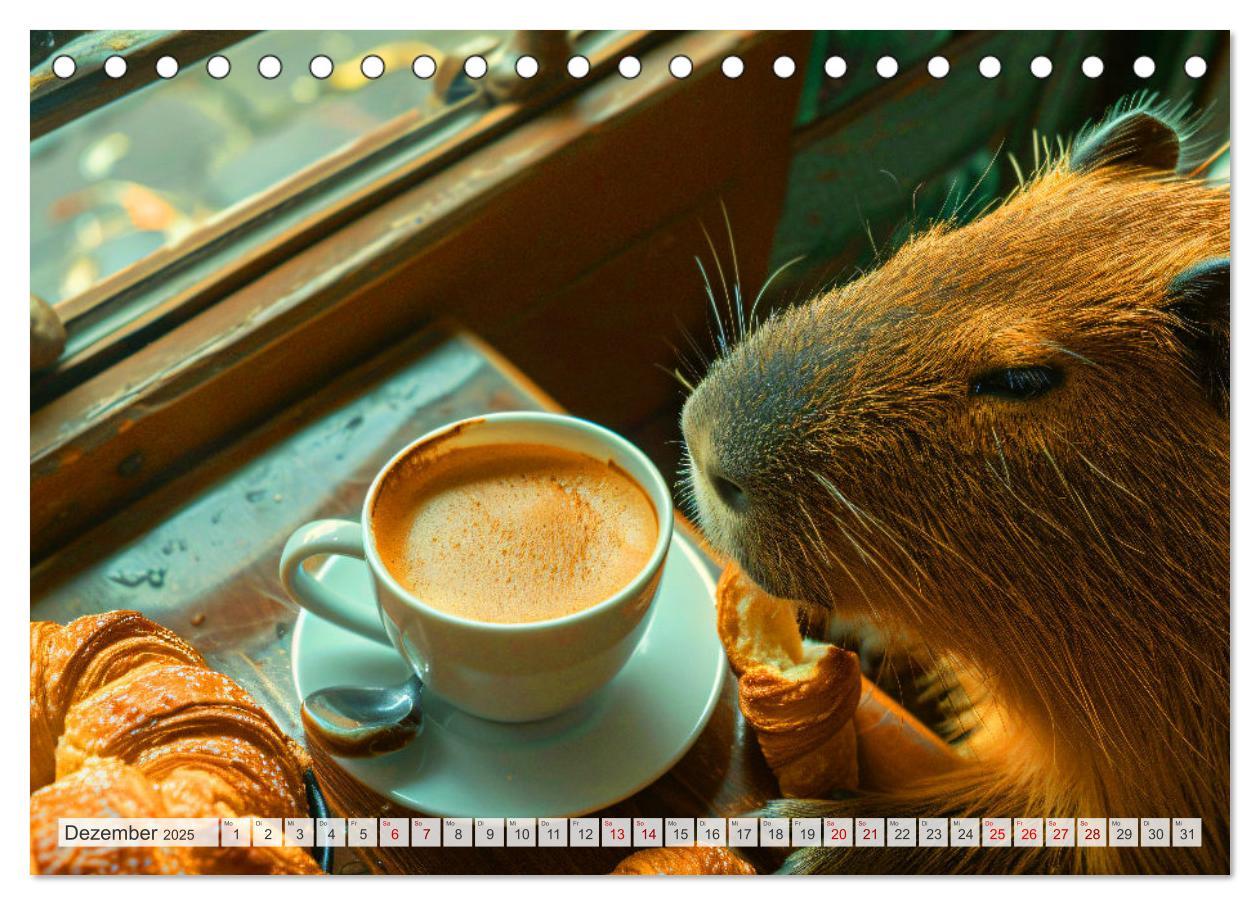 Bild: 9783457163993 | Capybaras im Alltag - Ein Jahr voller Abenteuer (Tischkalender 2025...