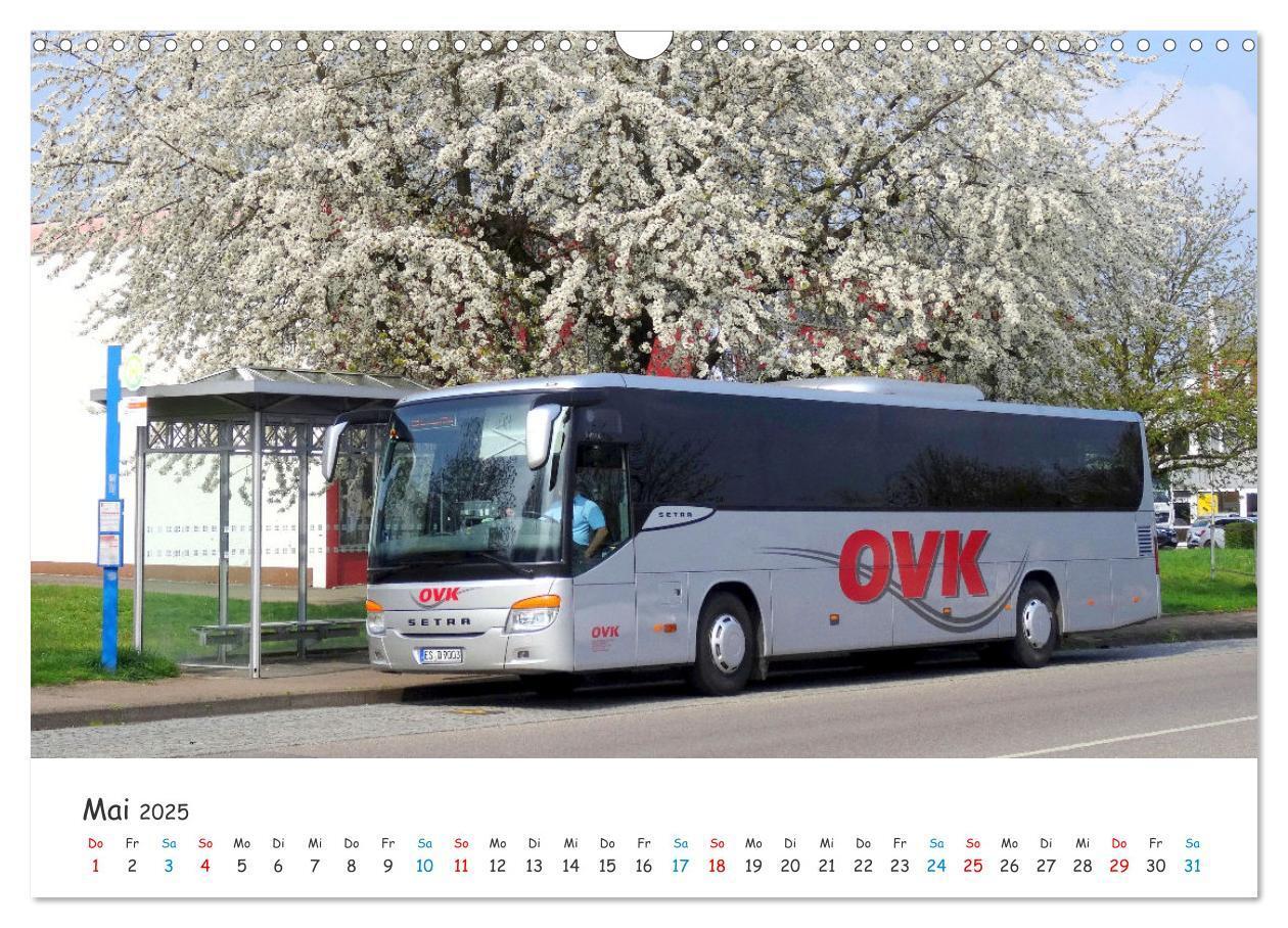 Bild: 9783435094479 | Omnibusse von heute und früher (Wandkalender 2025 DIN A3 quer),...