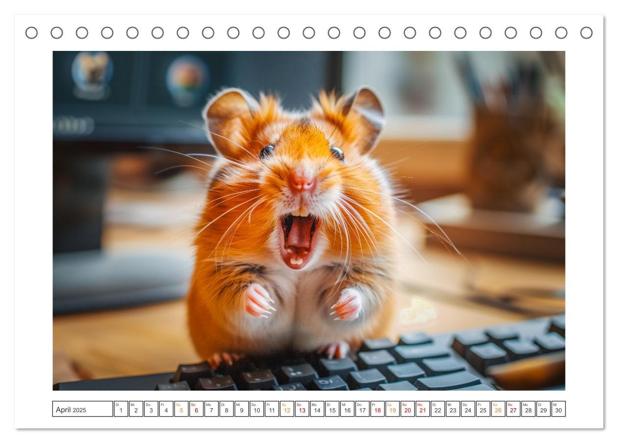 Bild: 9783435084876 | Lustige Hamster (Tischkalender 2025 DIN A5 quer), CALVENDO...