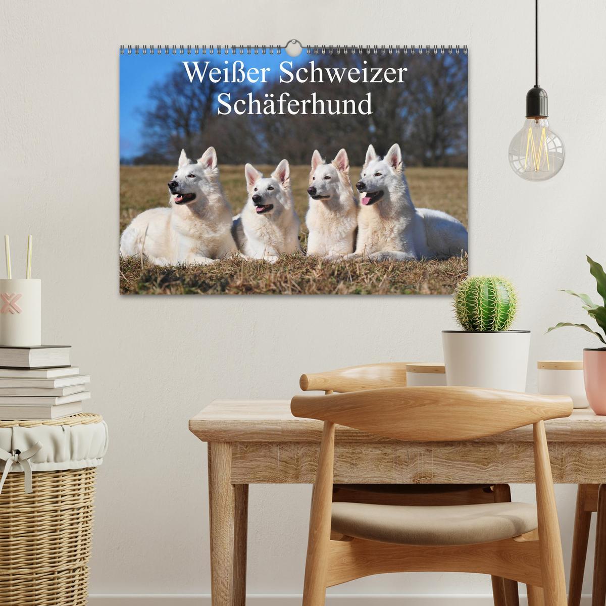 Bild: 9783435765560 | Weißer Schweizer Schäferhund (Wandkalender 2025 DIN A3 quer),...