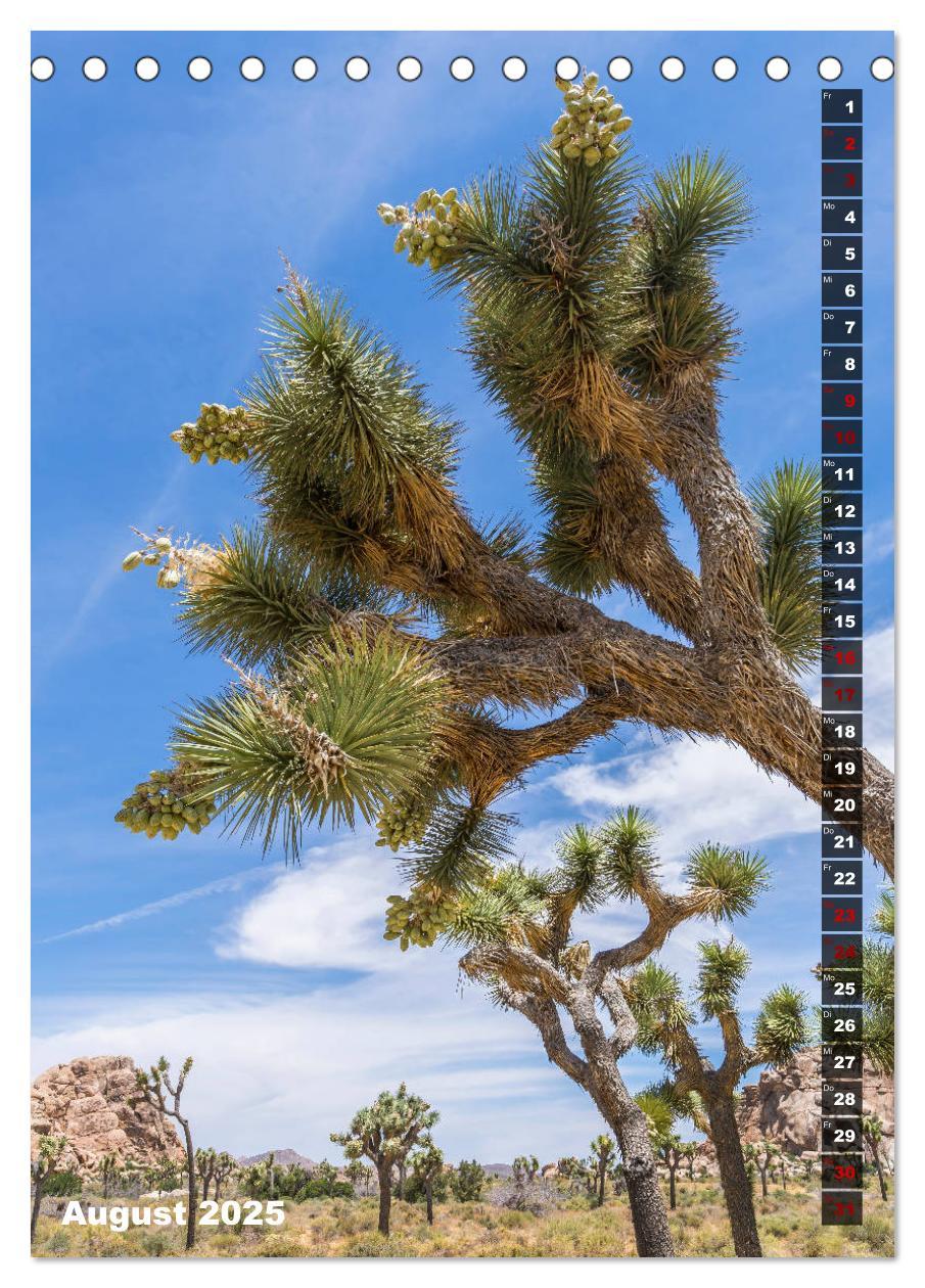 Bild: 9783435961108 | Impressionen aus dem JOSHUA TREE NATIONAL PARK (Tischkalender 2025...