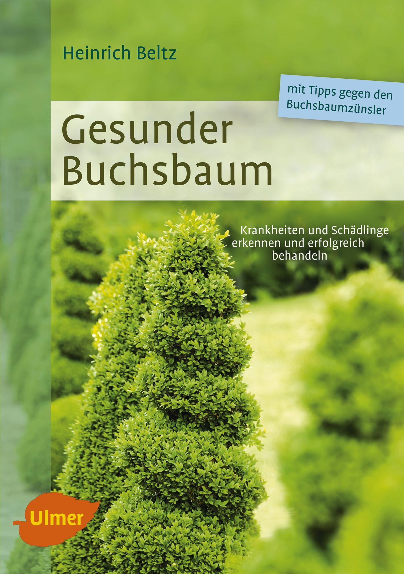 Cover: 9783800182657 | Gesunder Buchsbaum | Heinrich Beltz | Taschenbuch | 128 S. | Deutsch