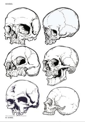 Bild: 9783946386070 | Skulls &amp; Bones | Totenschädel &amp; Knochen | Johann Barnas | Taschenbuch