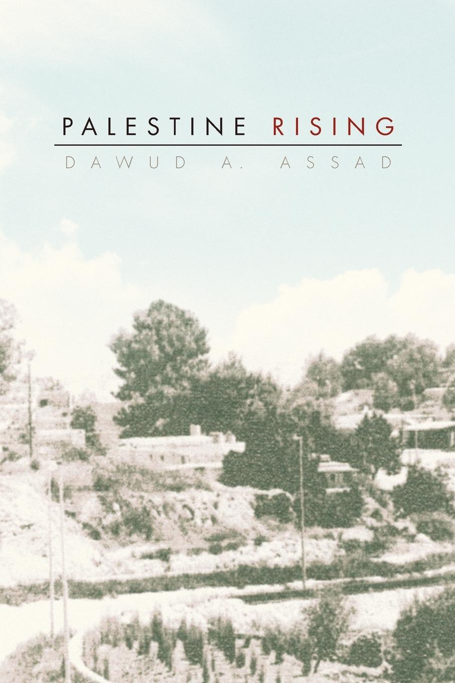 Cover: 9781453570333 | Palestine Rising | Dawud A. Assad | Taschenbuch | Englisch | 2010