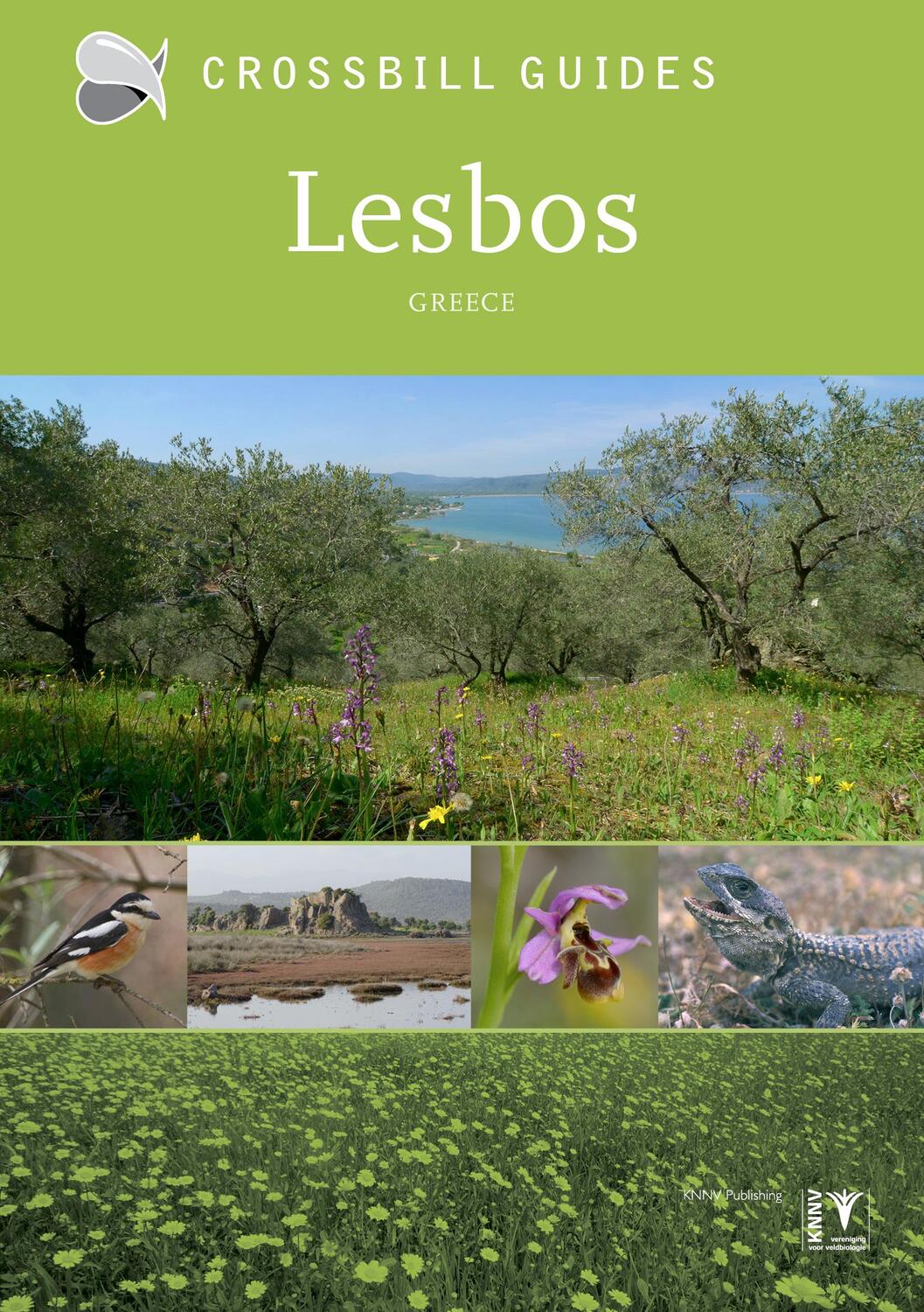 Cover: 9789491648083 | Lesbos | Greece | Alex Tabak | Taschenbuch | Kartoniert / Broschiert