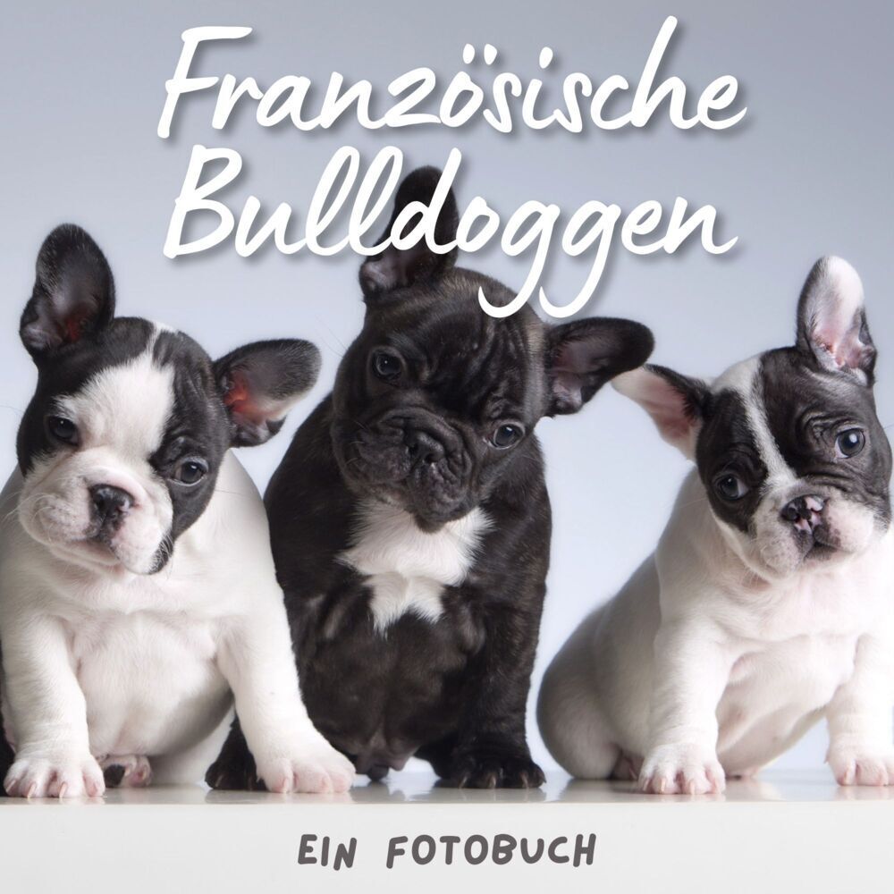 Cover: 9783750514409 | Französische Bulldoggen | Ein Fotobuch | Bibi Hübsch | Taschenbuch