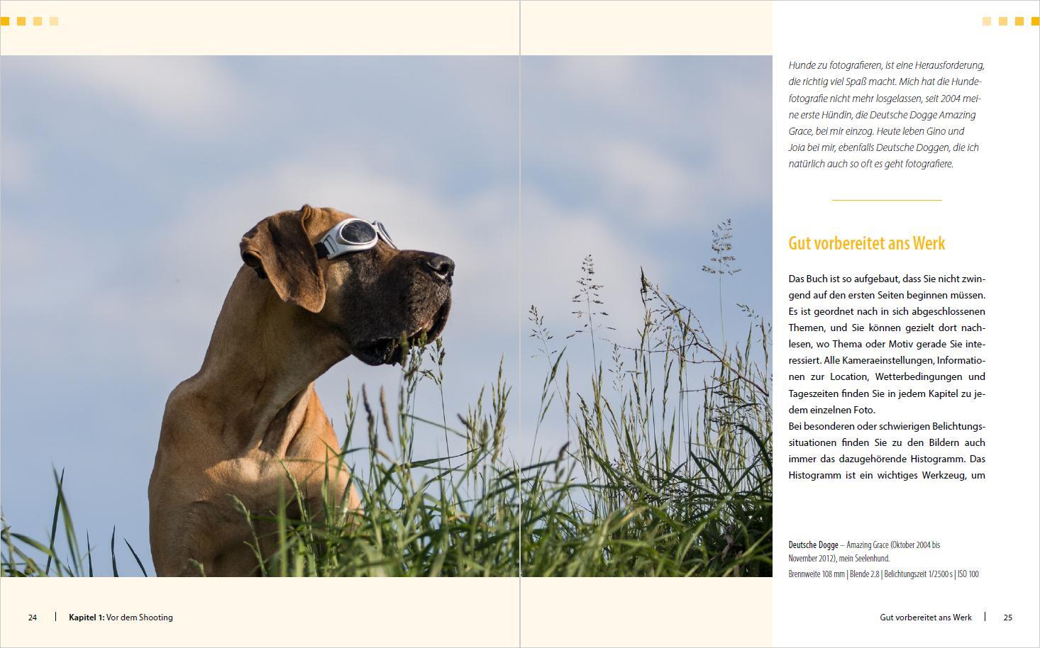 Bild: 9783832803490 | Hunde-Shooting - Fotografieren mit "Wau-Effekt" | Regine Heuser | Buch