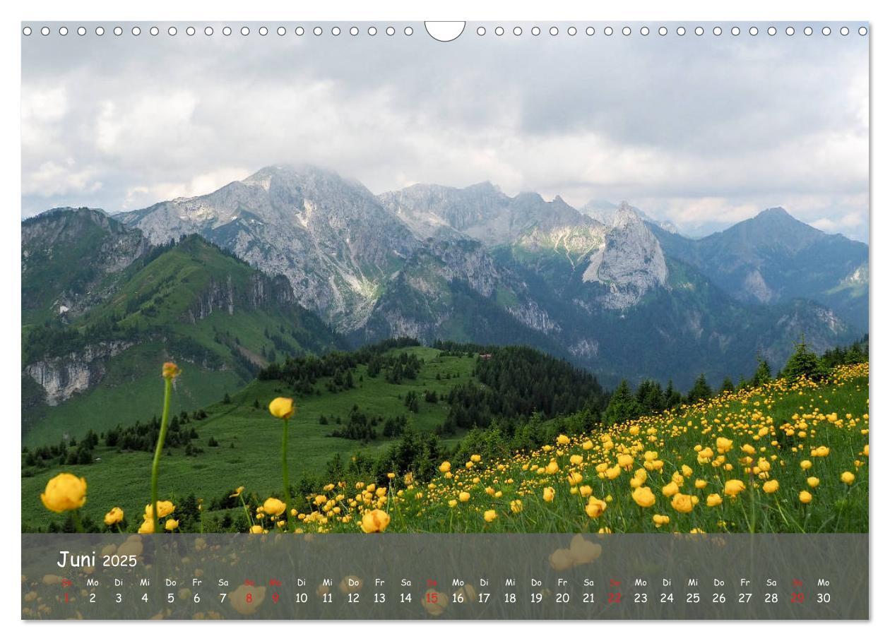 Bild: 9783435235674 | Ammergauer Alpen (Wandkalender 2025 DIN A3 quer), CALVENDO...