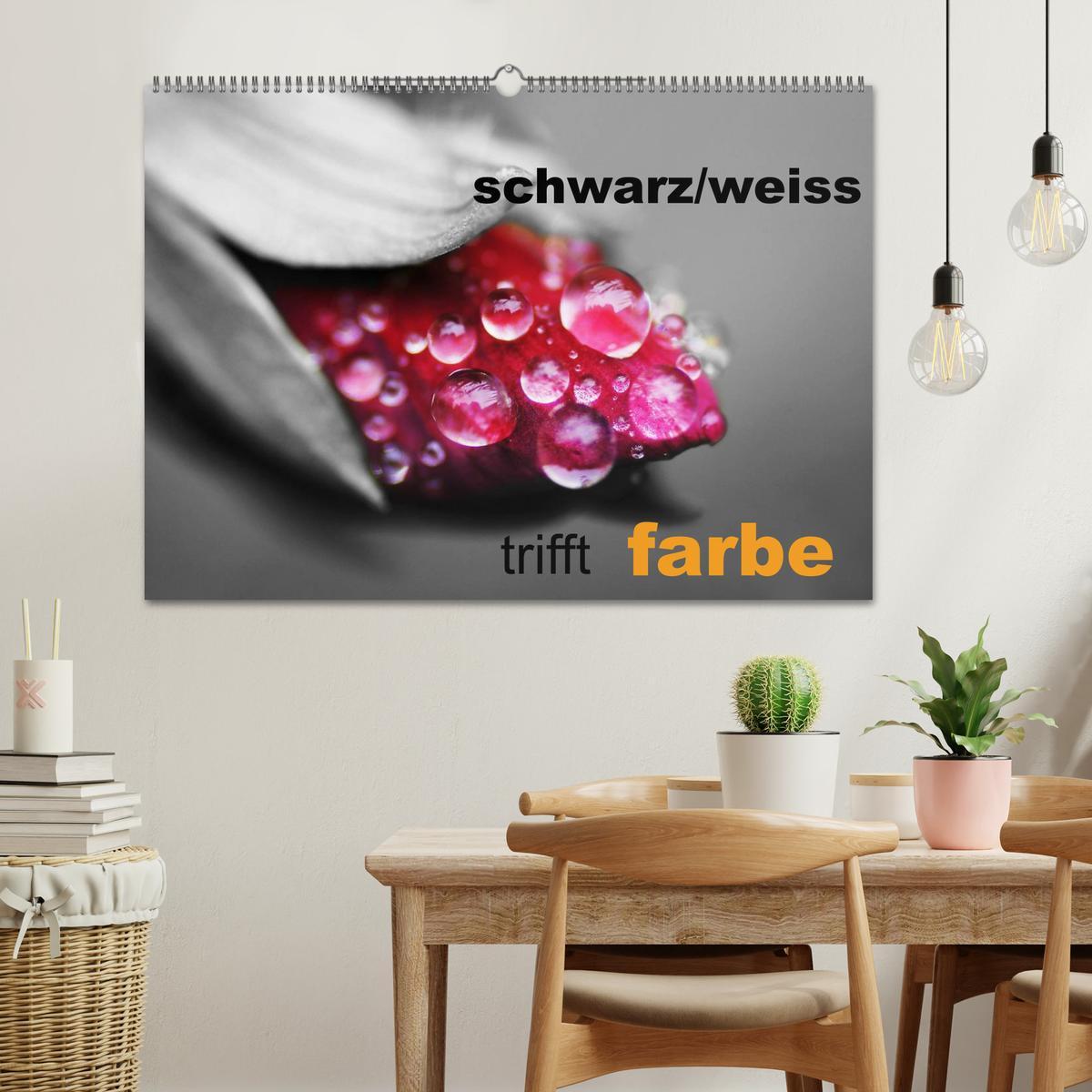 Bild: 9783435752812 | schwarz/weiß trifft farbe (Wandkalender 2025 DIN A2 quer), CALVENDO...