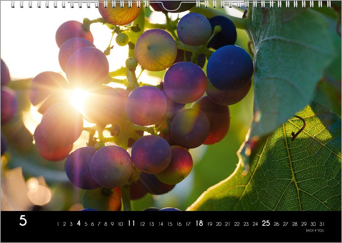 Bild: 9783969031087 | Der Weinkalender 2025, DIN A3 - ein Fotokalender | Peter Bach Jr.