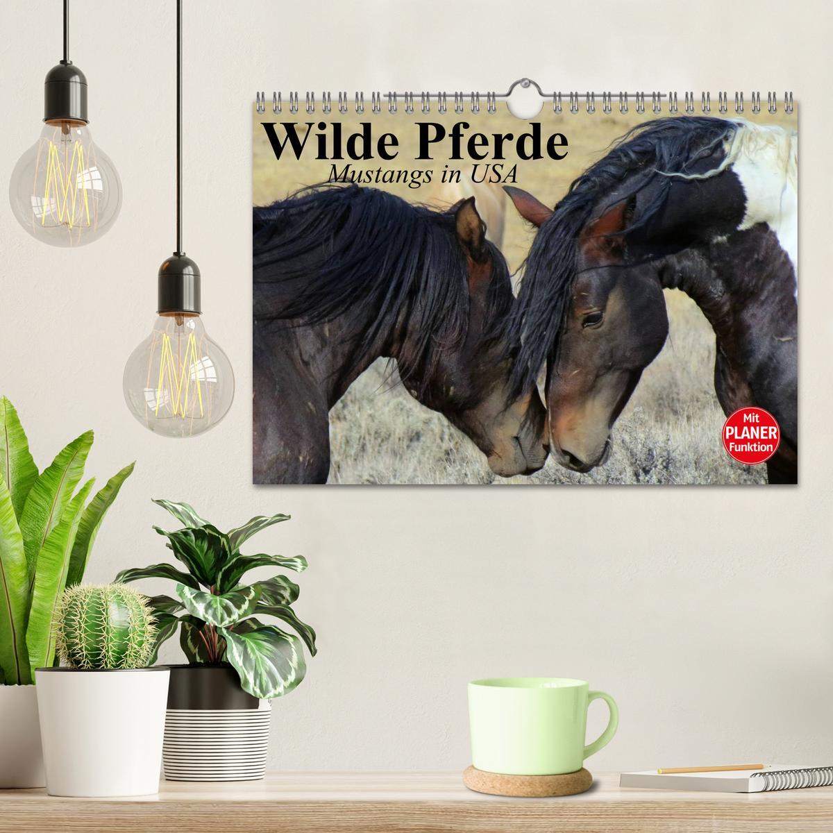 Bild: 9783435529780 | Wilde Pferde. Mustangs in USA (Wandkalender 2025 DIN A4 quer),...