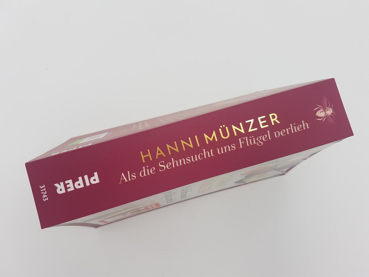 Bild: 9783492317436 | Als die Sehnsucht uns Flügel verlieh | Hanni Münzer | Taschenbuch