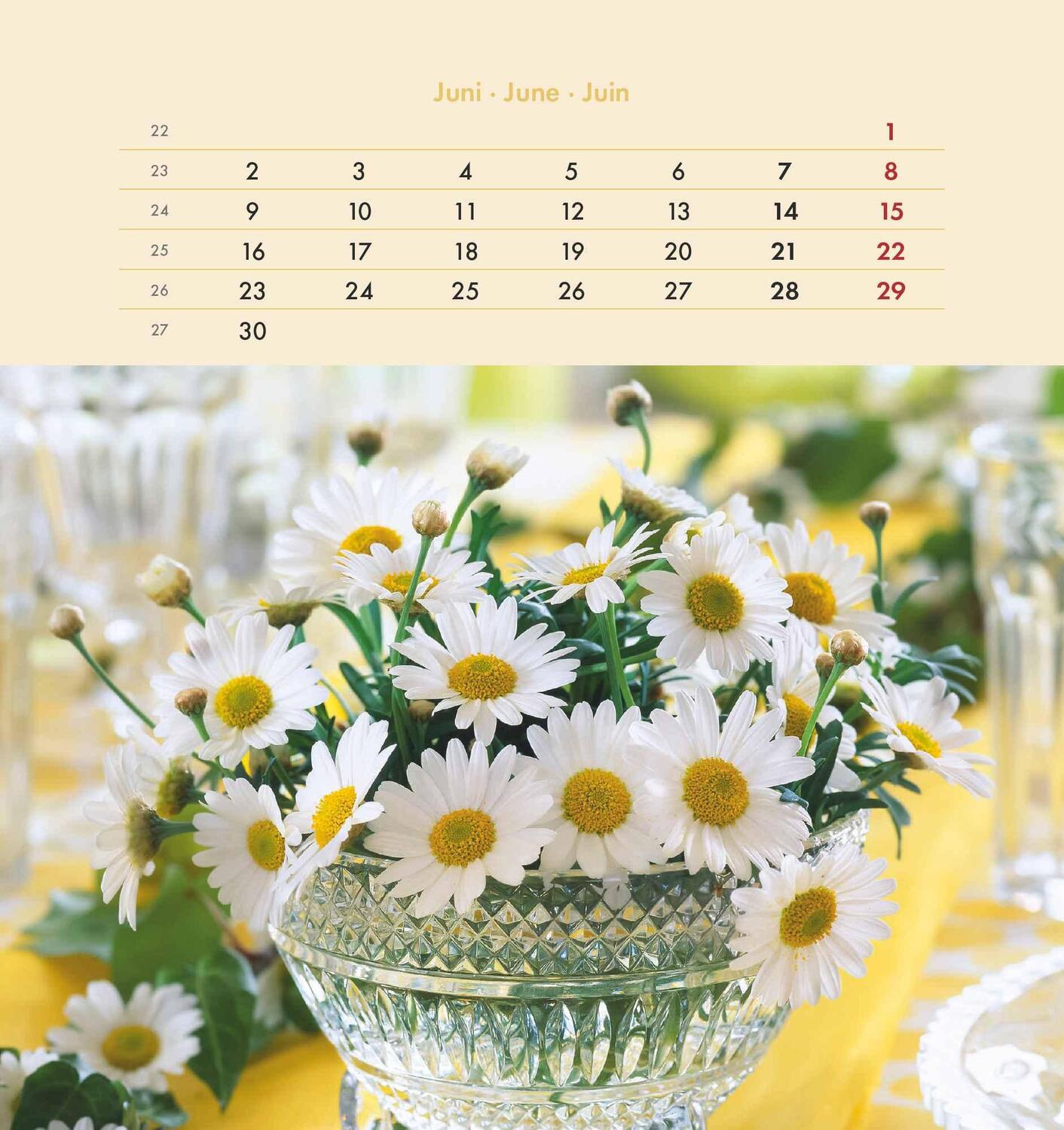 Bild: 4251732342289 | Blumengrüße 2025 - Postkartenkalender 16x17 cm - Blumen - zum...