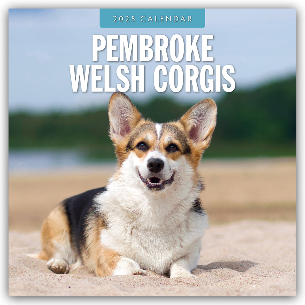 Cover: 9781804424957 | Pembroke Welsh Corgis - Pembroke Welsh Corgi 2025 - 16-Monatskalender