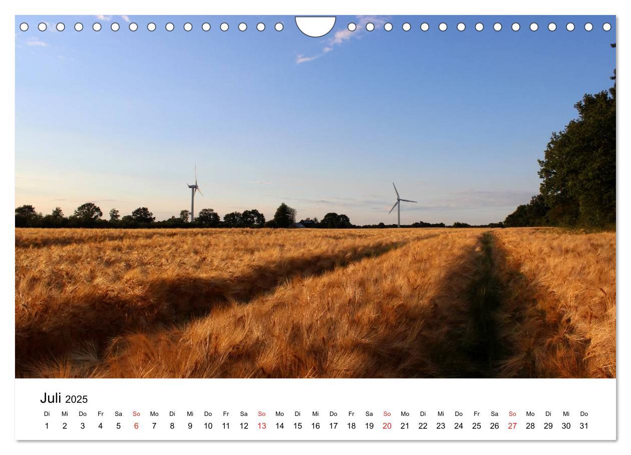 Bild: 9783435660926 | Schleswig-Holstein (Wandkalender 2025 DIN A4 quer), CALVENDO...