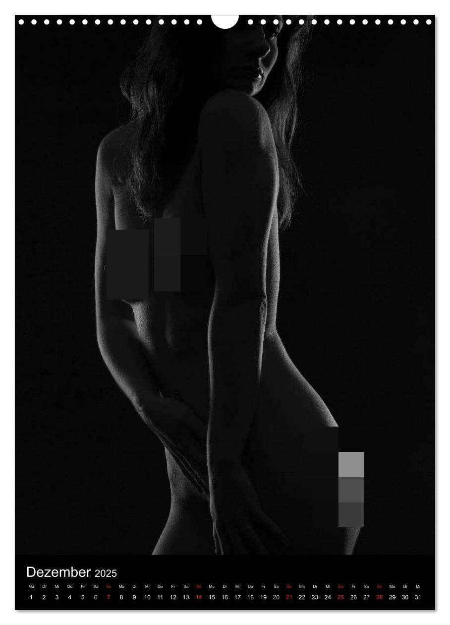 Bild: 9783457080955 | Erotische Silhouetten / CH-Version (Wandkalender 2025 DIN A3 hoch),...