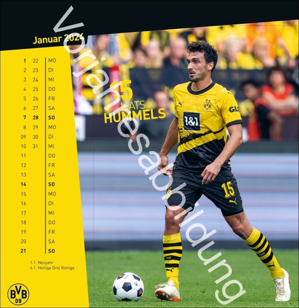 Bild: 9783756405473 | BVB Postkartenkalender 2025 | Kalender | Spiralbindung | 13 S. | 2025