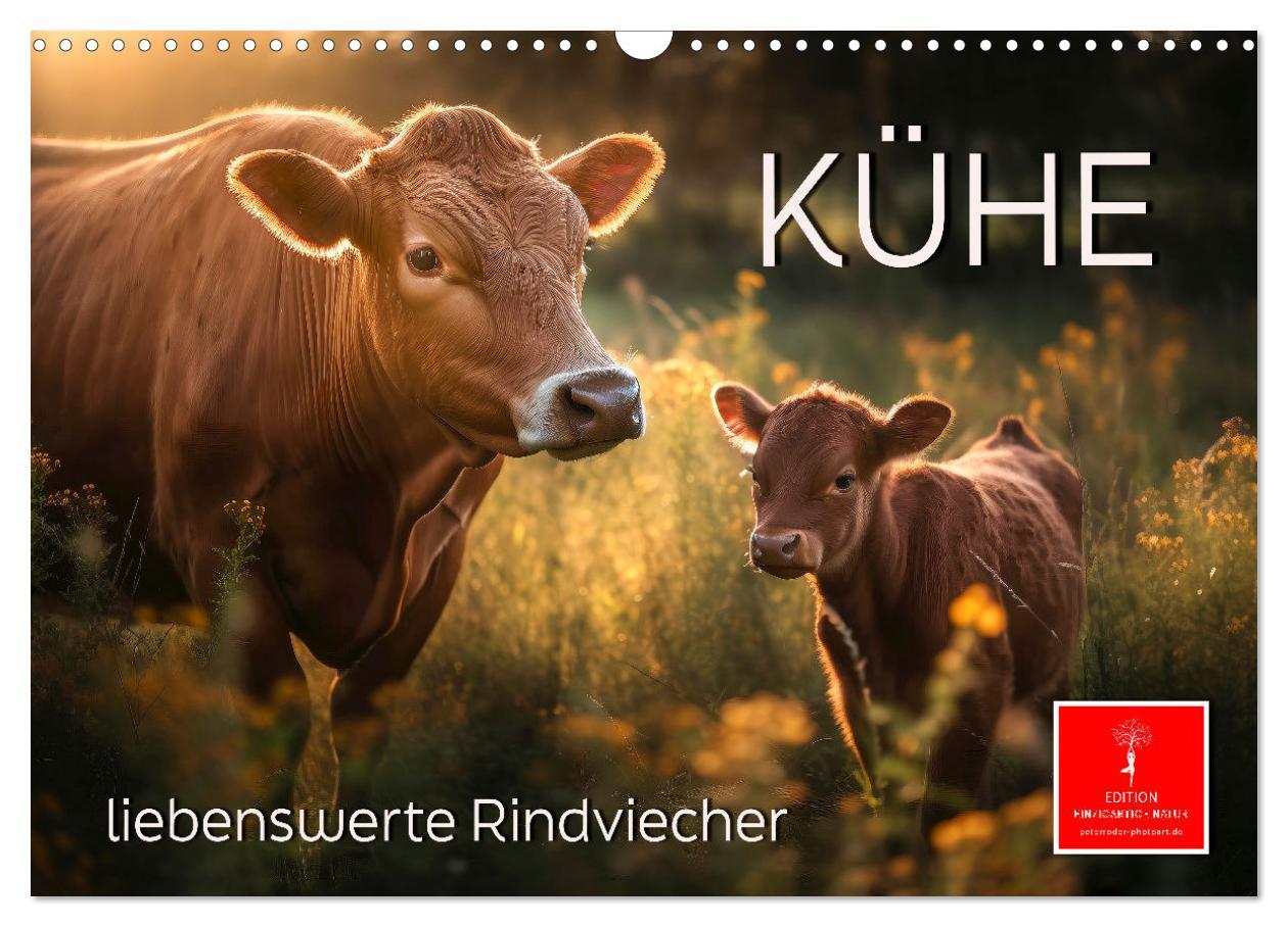 Cover: 9783383908897 | Kühe - liebenswerte Rindviecher (Wandkalender 2025 DIN A3 quer),...