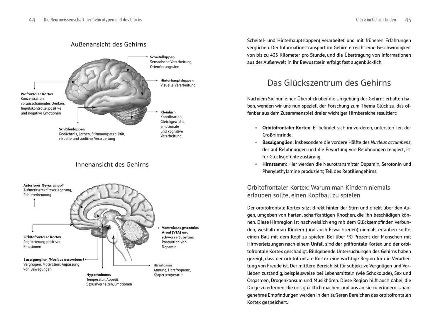 Bild: 9783742322630 | Happy Brain - Happy You | Daniel G. Amen | Taschenbuch | 400 S. | 2023