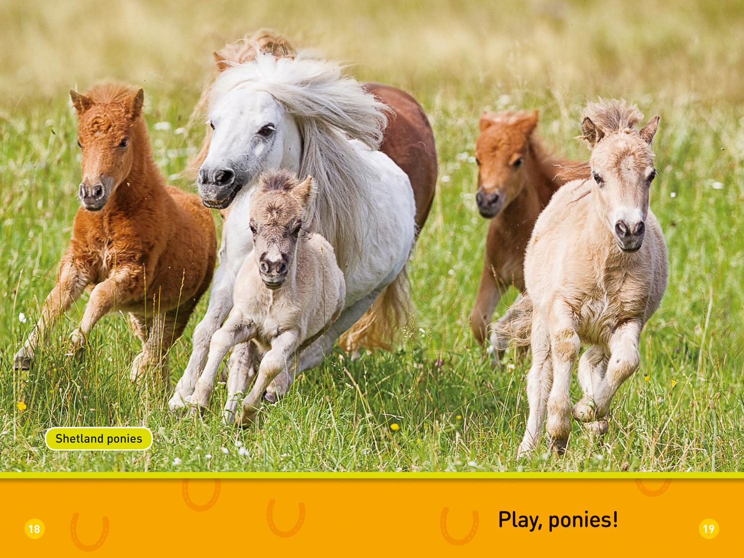 Bild: 9780008266530 | Trot, Pony! | Level 1 | National Geographic Kids (u. a.) | Taschenbuch