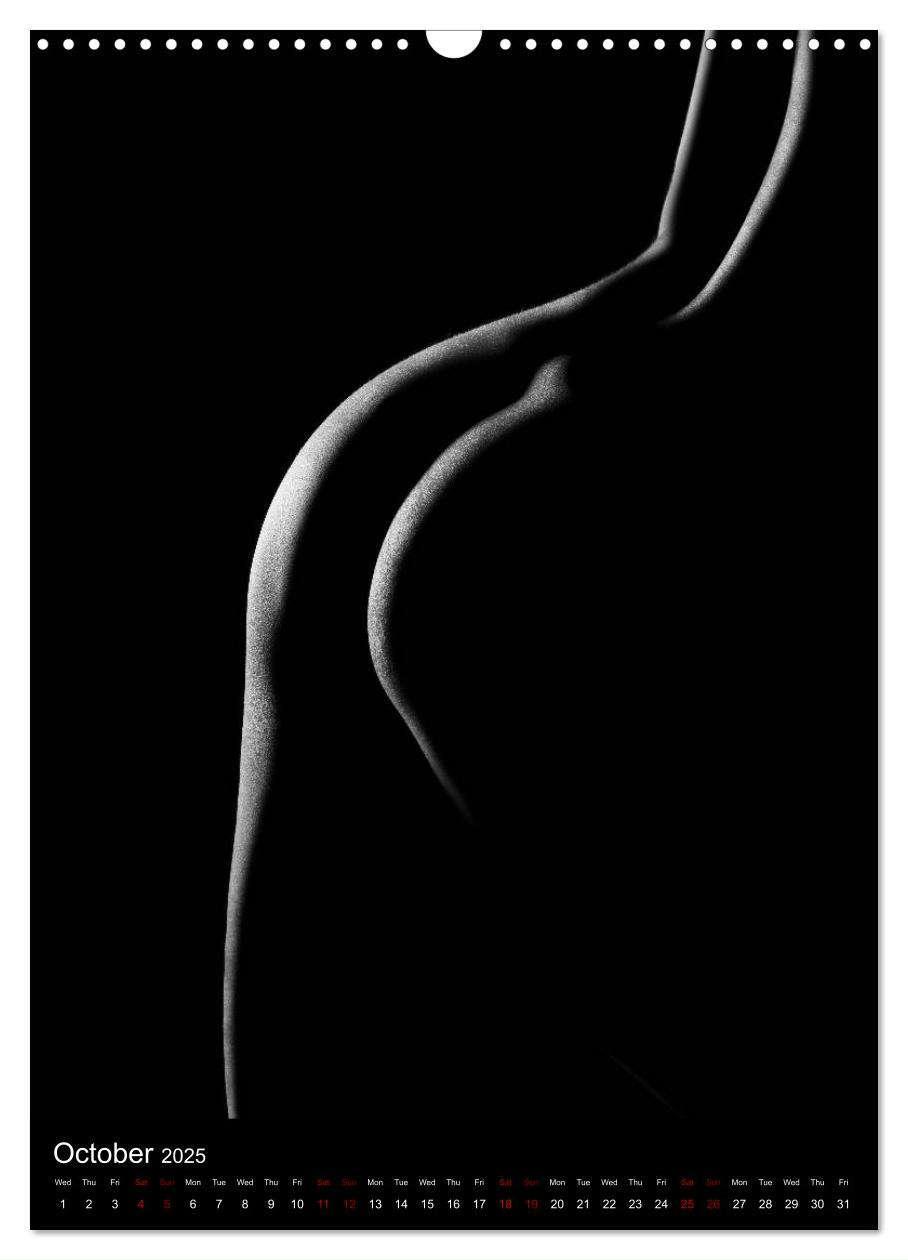 Bild: 9781325972951 | erotic shadows 2025 (Wall Calendar 2025 DIN A3 portrait), CALVENDO...