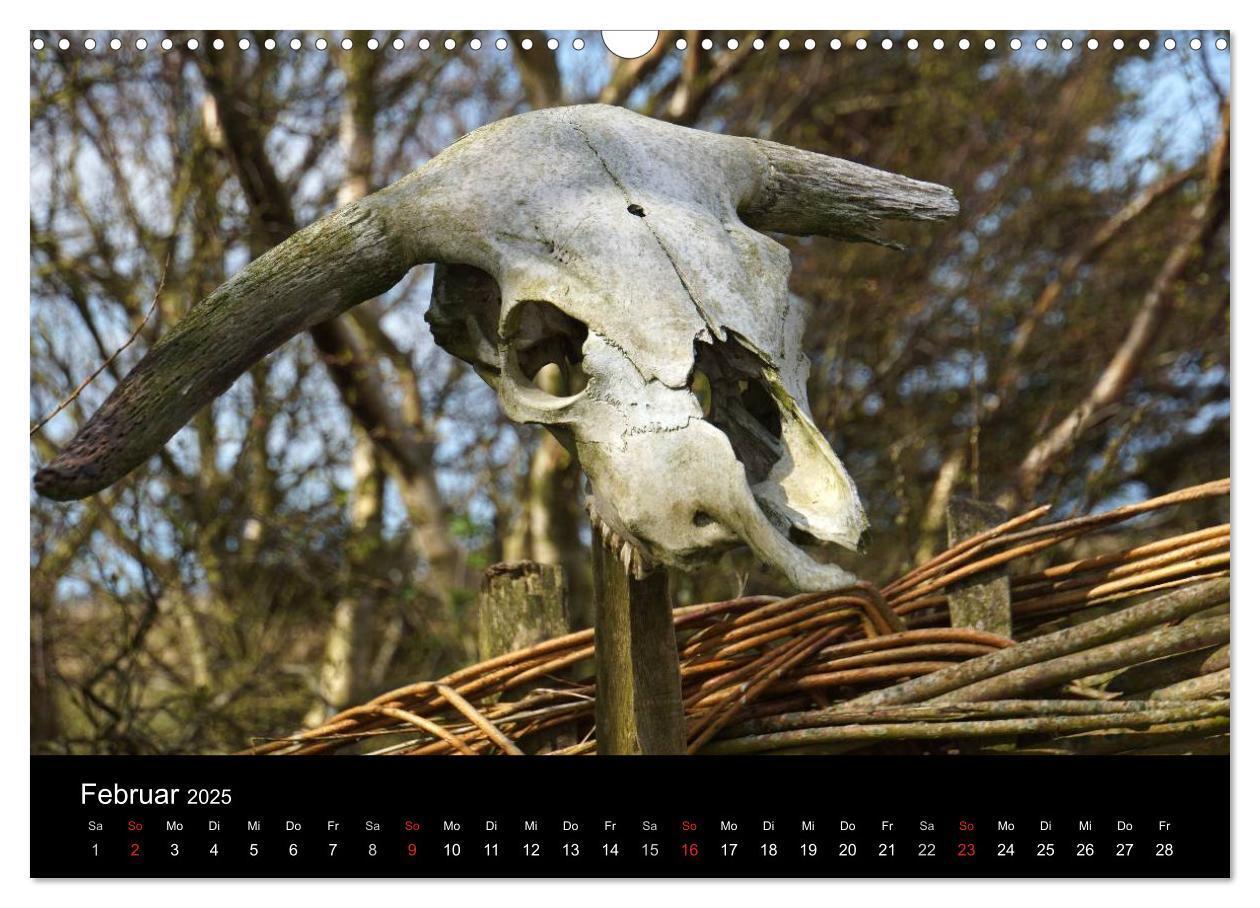 Bild: 9783435608195 | Dänemark - Umgebung von Hvide Sande (Wandkalender 2025 DIN A3...