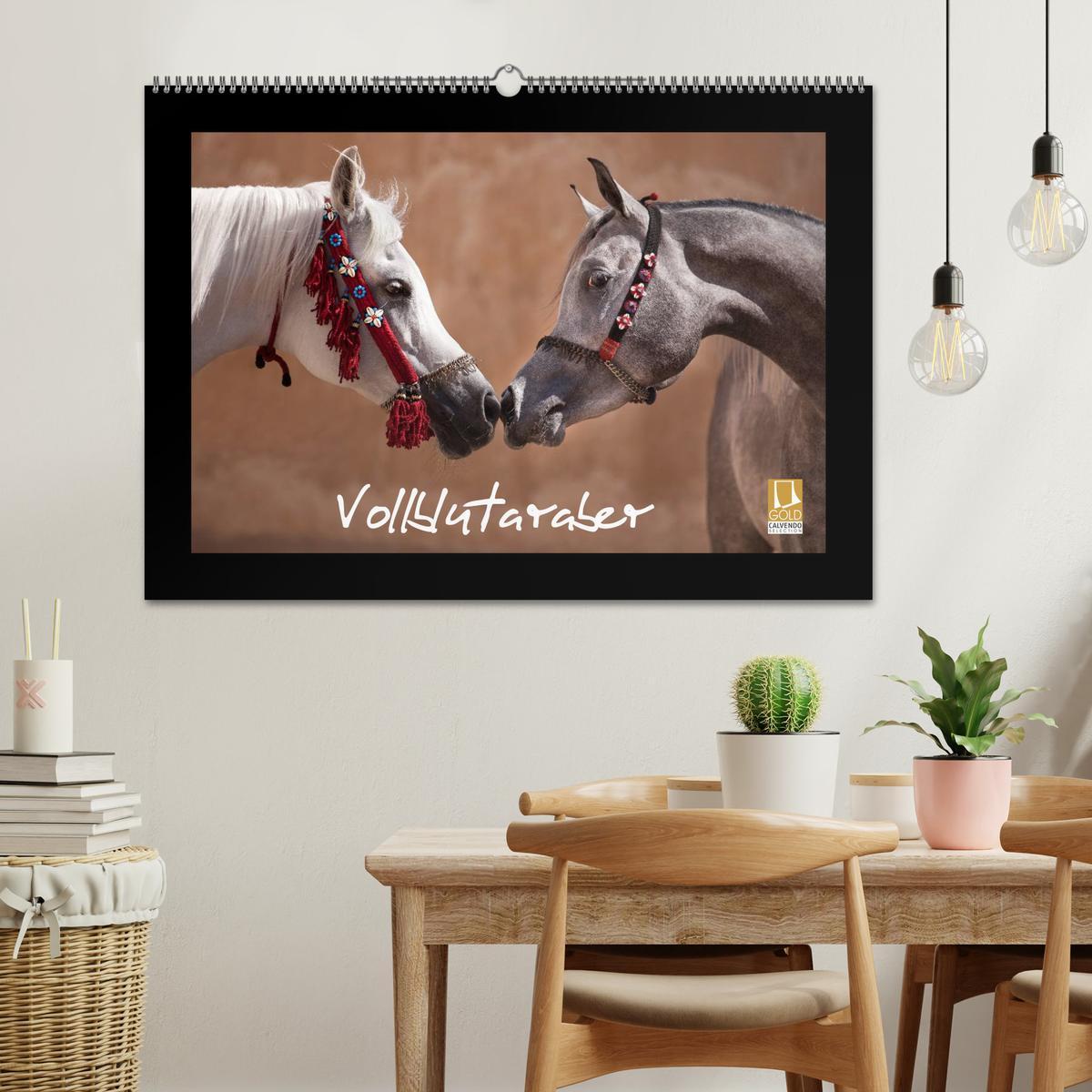 Bild: 9783435788941 | Vollblutaraber (Wandkalender 2025 DIN A2 quer), CALVENDO...