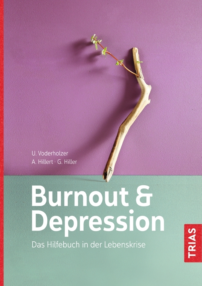 Cover: 9783432103334 | Burnout und Depression | Das Hilfebuch in der Lebenskrise | Buch