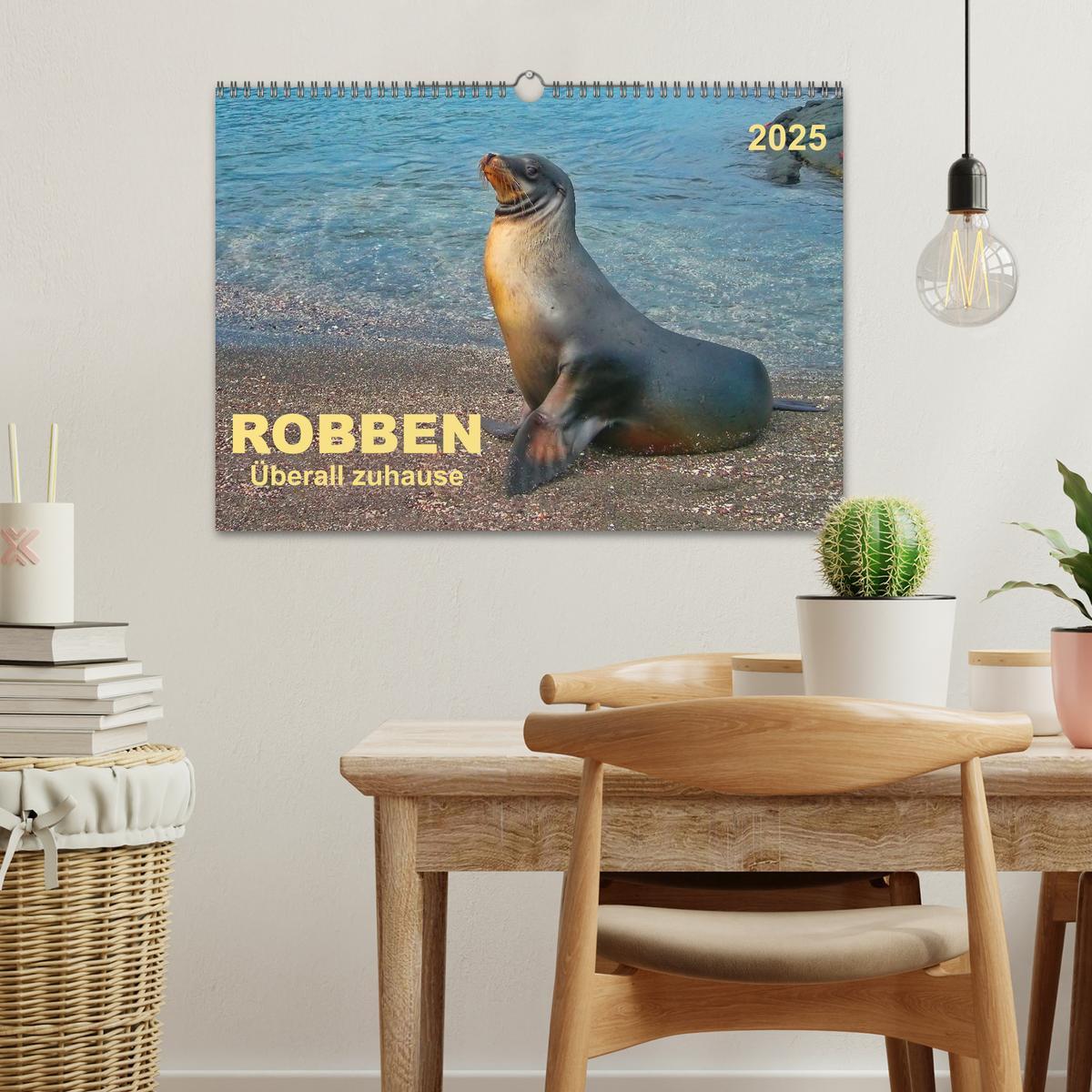 Bild: 9783435724123 | Robben - überall zuhause (Wandkalender 2025 DIN A3 quer), CALVENDO...