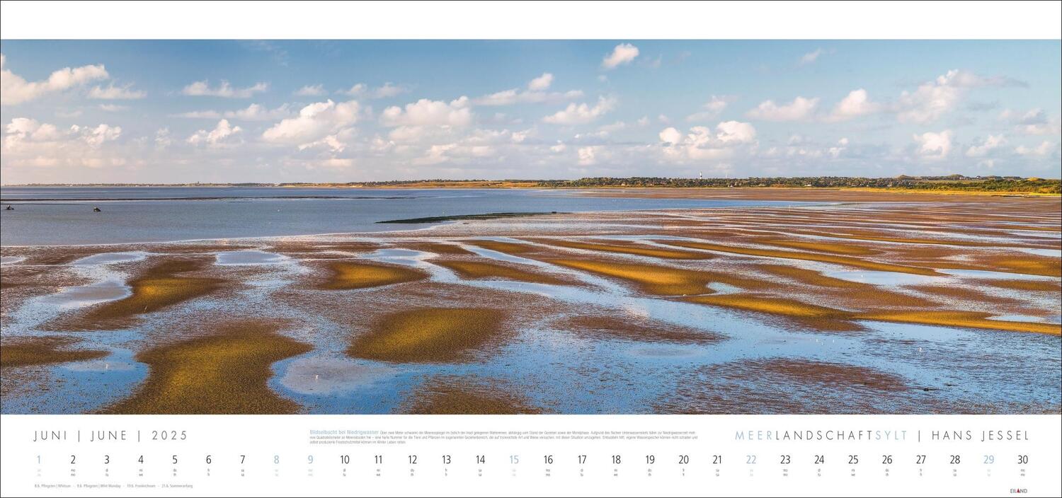 Bild: 9783964023544 | Meerlandschaft SYLT Kalender 2025 - Hans Jessel | Kalender | 13 S.