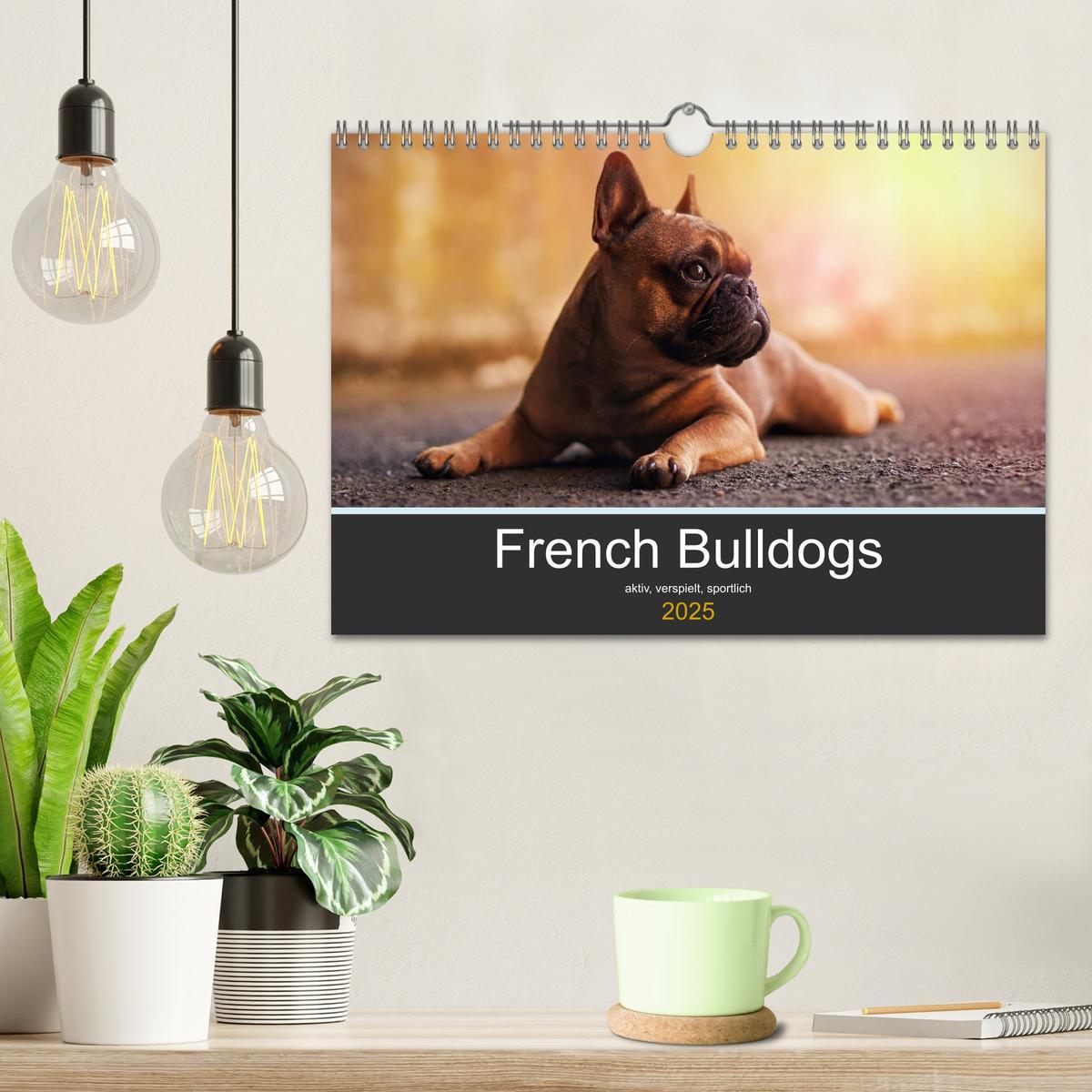 Bild: 9783435302314 | French Bulldog aktiv, verspielt, sportlich (Wandkalender 2025 DIN...