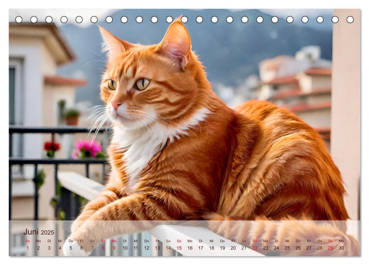 Bild: 9783383817885 | Rote Katzen (Tischkalender 2025 DIN A5 quer), CALVENDO Monatskalender