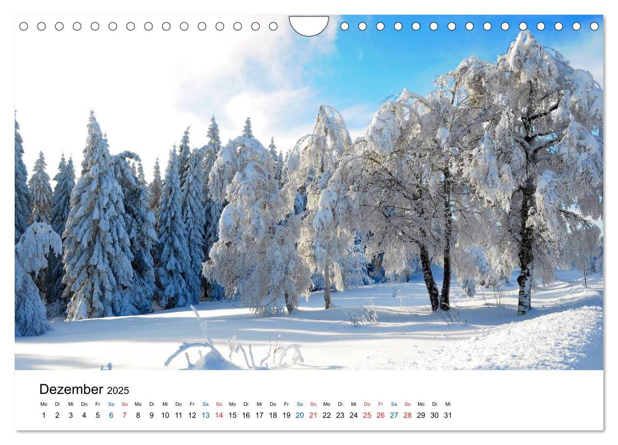 Bild: 9783435780471 | Felder und Wiesen (Wandkalender 2025 DIN A4 quer), CALVENDO...