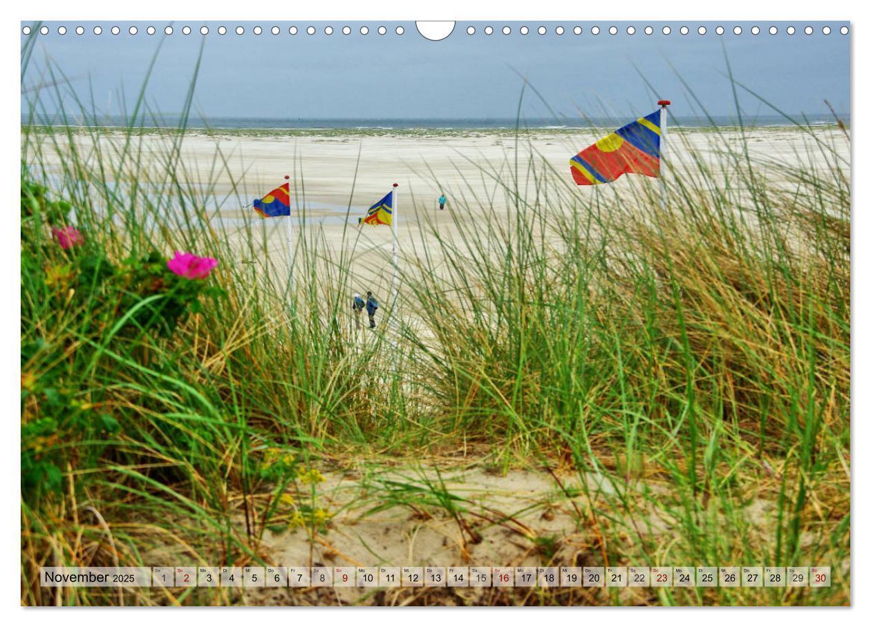 Bild: 9783435418220 | Typisch Amrum! (Wandkalender 2025 DIN A3 quer), CALVENDO...