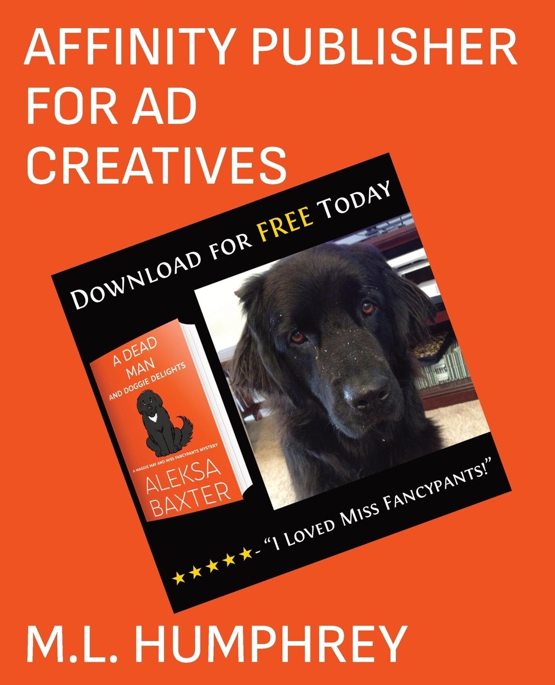 Cover: 9781637440285 | Affinity Publisher for Ad Creatives | M. L. Humphrey | Taschenbuch