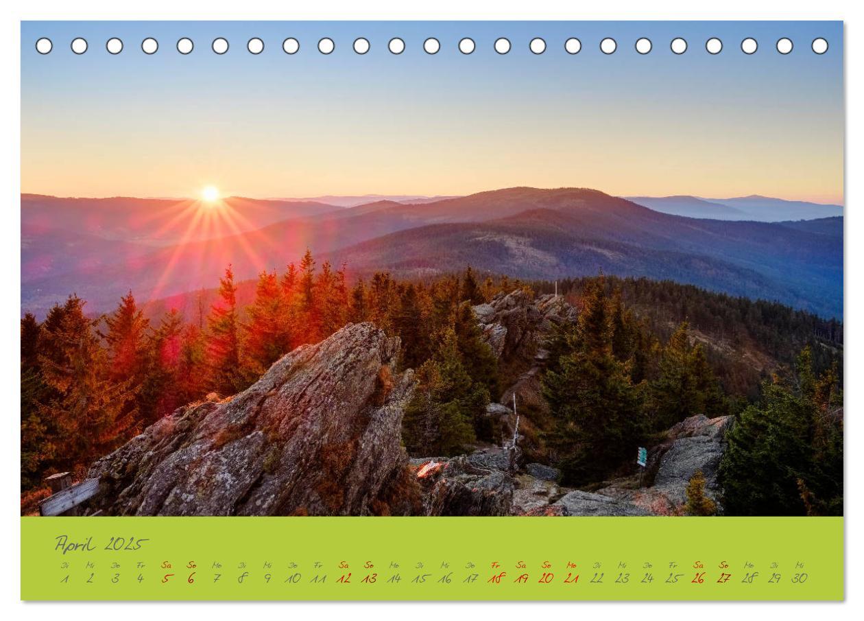 Bild: 9783435192946 | Der Bayerische Wald (Tischkalender 2025 DIN A5 quer), CALVENDO...