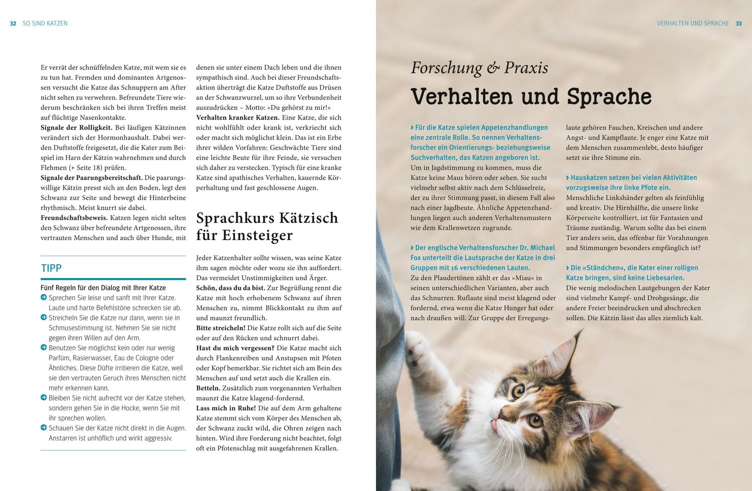 Bild: 9783833828751 | Katzen. Das große Praxishandbuch | Gerd Ludwig | Buch | 288 S. | 2016