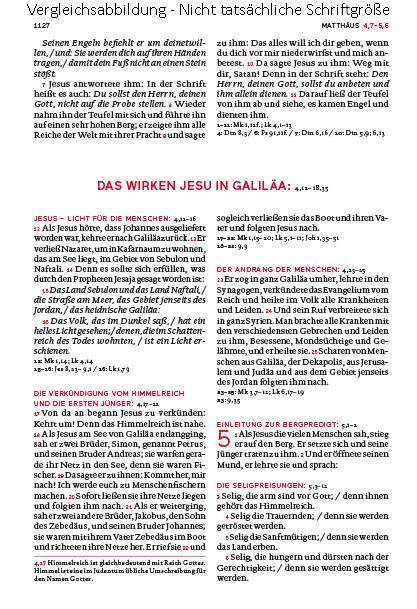 Bild: 9783460440135 | Die Bibel. Mit Sonderseiten für junge Menschen. | Agnes Wuckelt | Buch