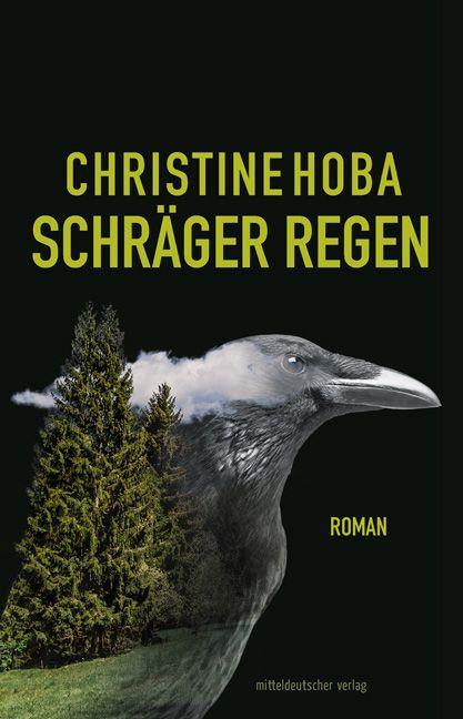 Cover: 9783963114823 | Schräger Regen | Eine Herbstnachtverwirrung - Roman | Christine Hoba