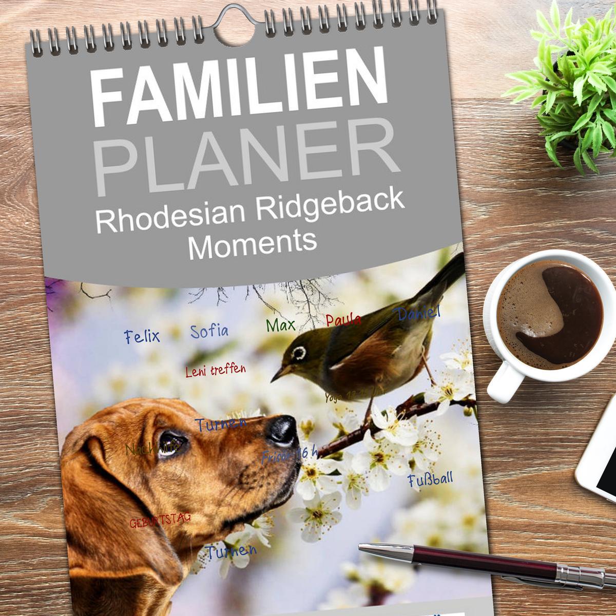 Bild: 9783457115121 | Familienplaner 2025 - Rhodesian Ridgeback - Moments mit 5 Spalten...