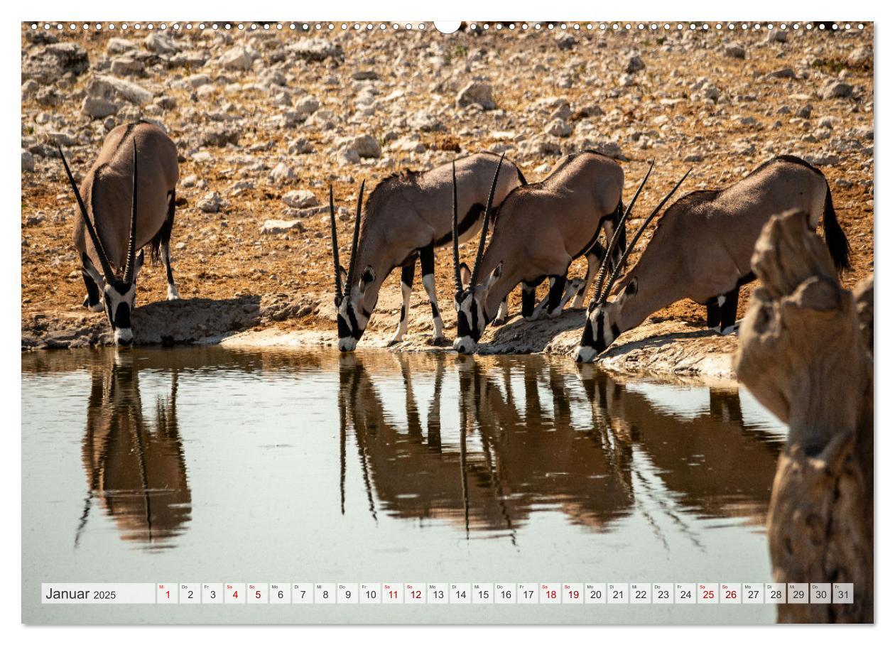 Bild: 9783383853289 | Abenteuerliches Namibia (Wandkalender 2025 DIN A2 quer), CALVENDO...