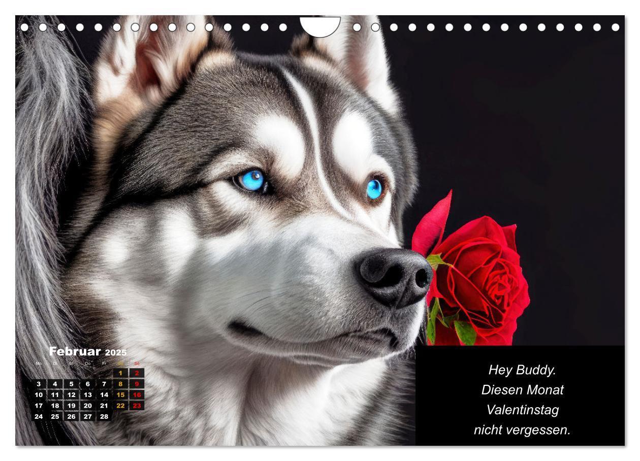 Bild: 9783435639878 | Der tierisch lustige Husky Kalender (Wandkalender 2025 DIN A4...