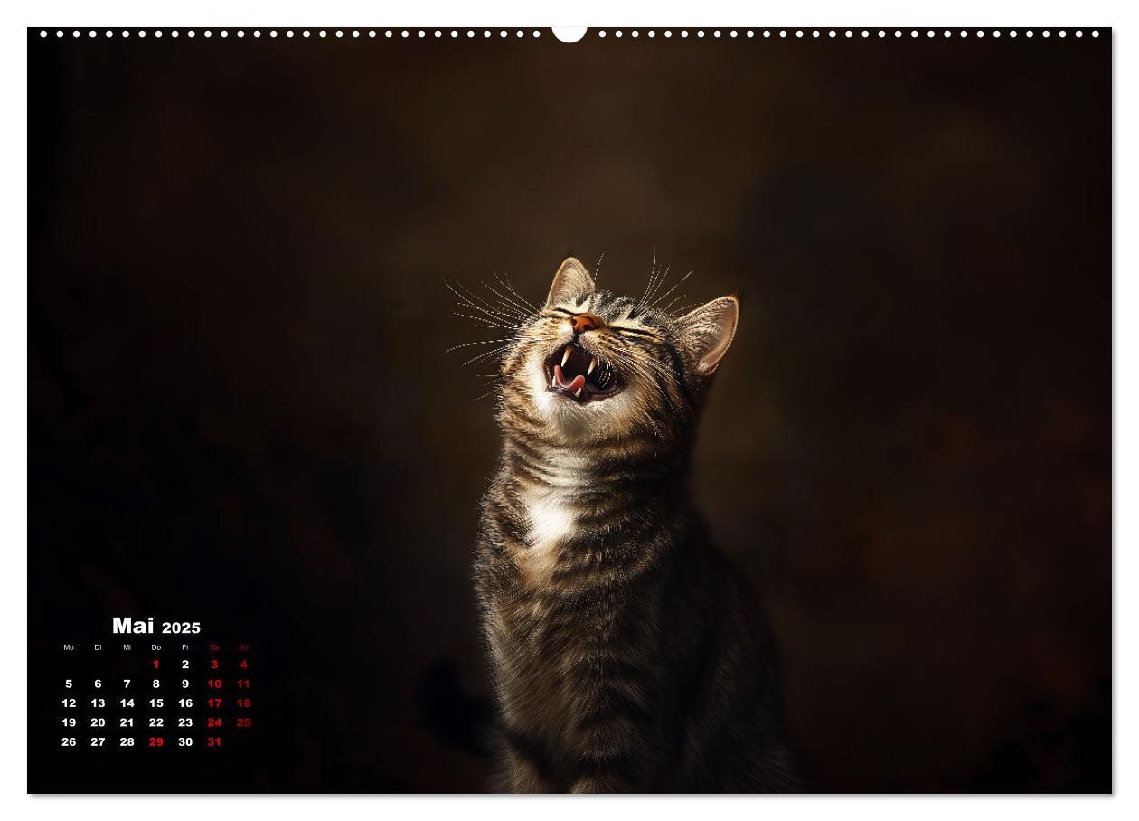 Bild: 9783457202128 | Auch Katzen lachen gern (hochwertiger Premium Wandkalender 2025 DIN...