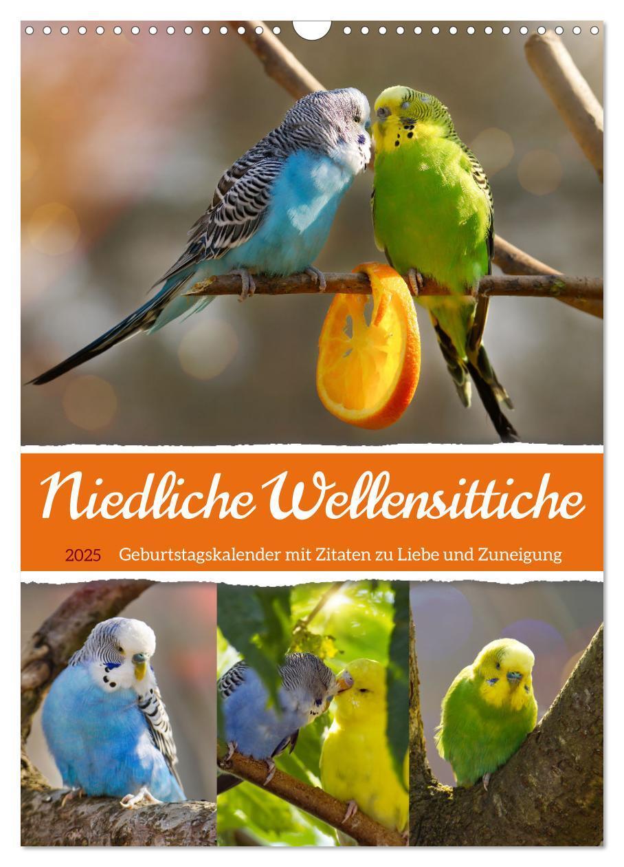 Cover: 9783435890620 | Niedliche Wellensittiche (Wandkalender 2025 DIN A3 hoch), CALVENDO...