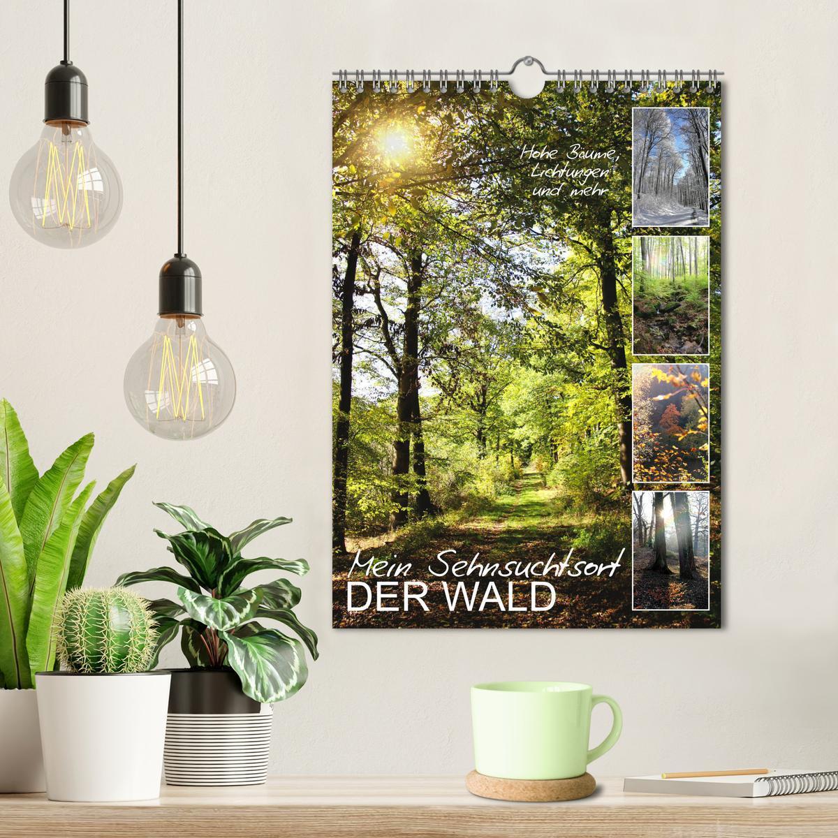 Bild: 9783435928446 | Mein Sehnsuchtsort, der Wald (Wandkalender 2025 DIN A4 hoch),...