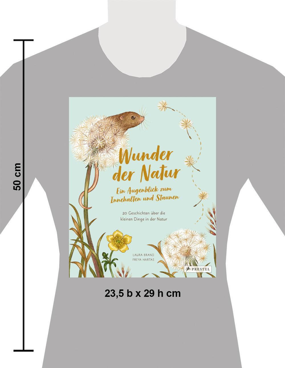 Bild: 9783791375434 | Wunder der Natur. Ein Augenblick zum Innehalten und Staunen | Buch