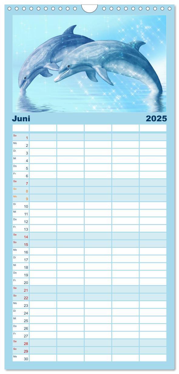 Bild: 9783457124574 | Familienplaner 2025 - Delfine - Kalender mit 5 Spalten...