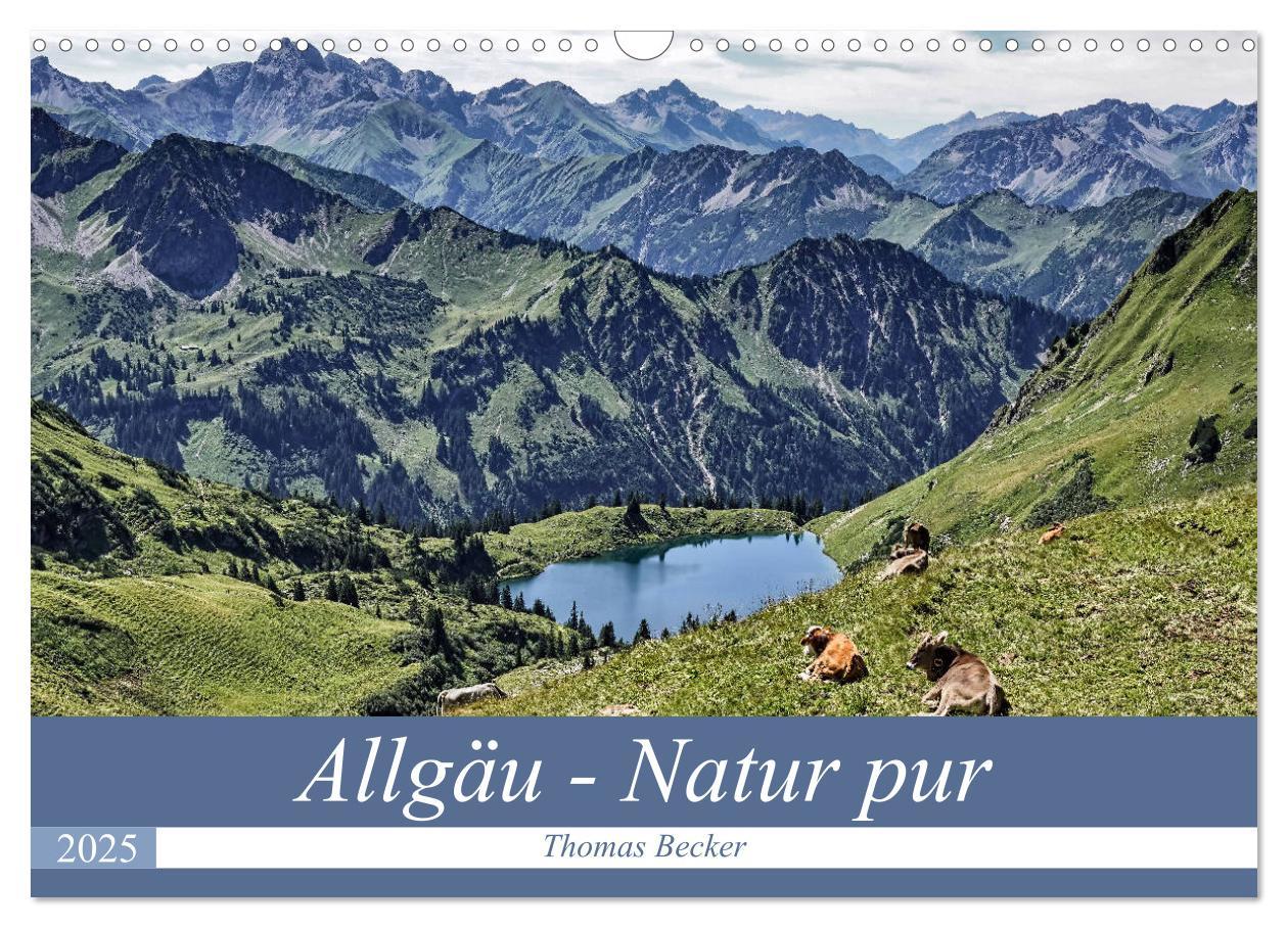 Cover: 9783435324231 | Allgäu - Natur pur (Wandkalender 2025 DIN A3 quer), CALVENDO...