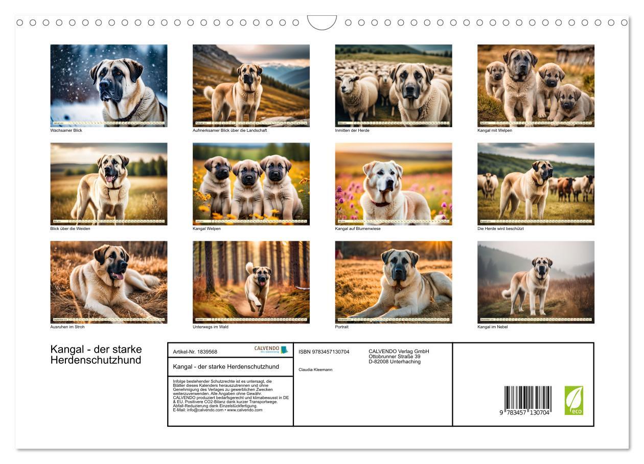 Bild: 9783457130704 | Kangal - der starke Herdenschutzhund (Wandkalender 2025 DIN A3...